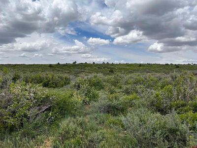3535 Road 10.8, Dove Creek, CO, 81324