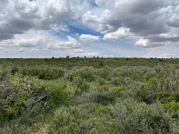 3535 Road 10.8, Dove Creek, CO 81324