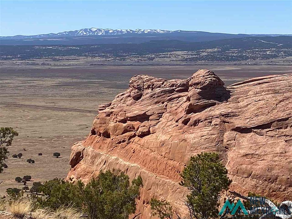 1st image of 4 Eagle Loop #5