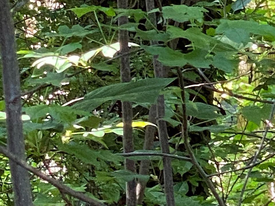 3665 Solomons Island Rd, Harwood, MD 20776 Zillow