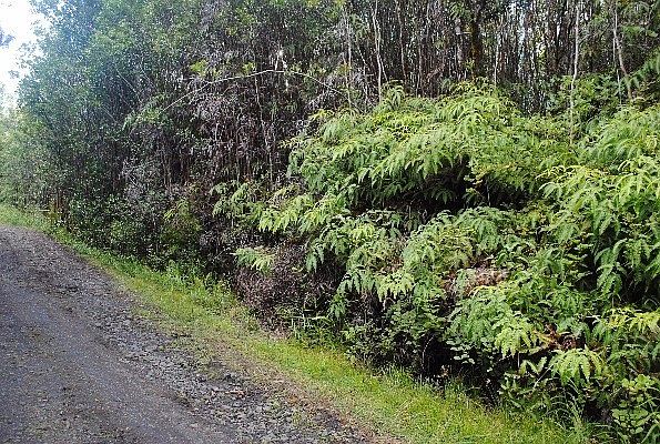 2nd image of Ulei St Lot 10