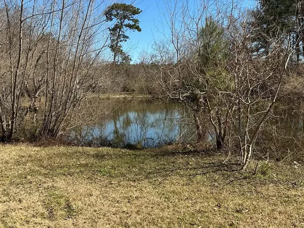 14185 Tower Glen Ln, Conroe, TX 77306