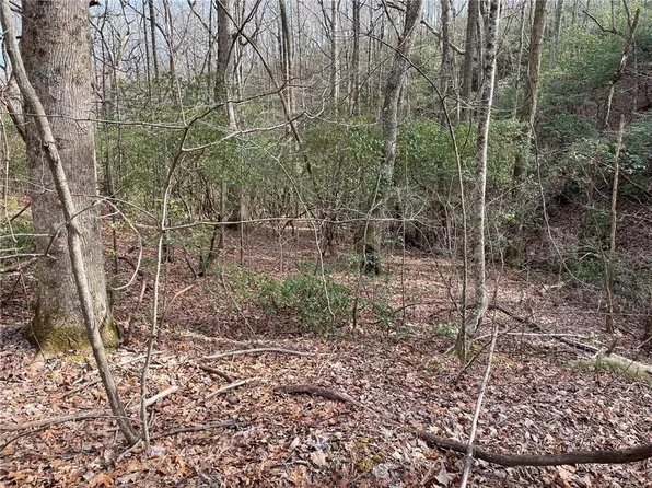 LOT 9F Renate Dr, Jasper, GA 30143