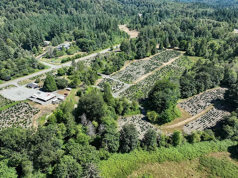 18021 Issaquah Hobart Rd SE — Photo 10