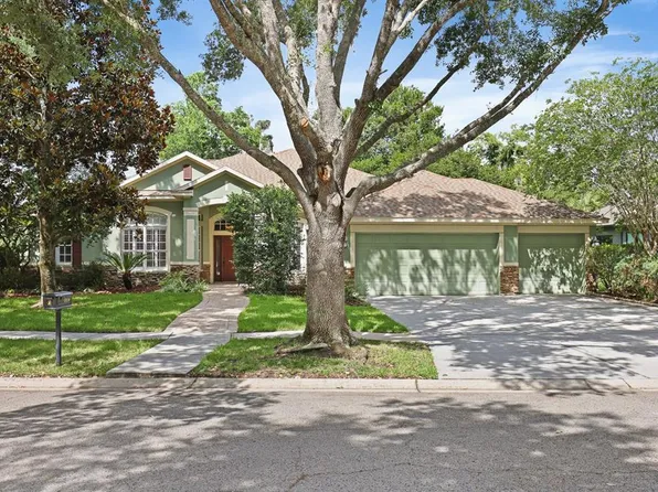 15239 Kestrelrise Dr, Lithia, FL 33547