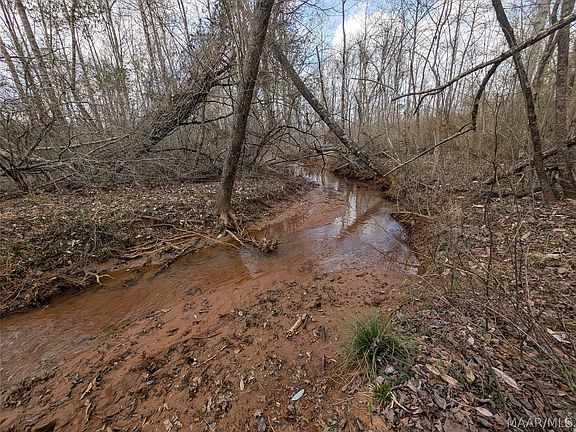 5th image of 0 Butter And Egg Rd