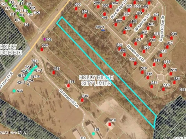 Tract E Us Hwy 17 S, Holly Ridge, NC 28445