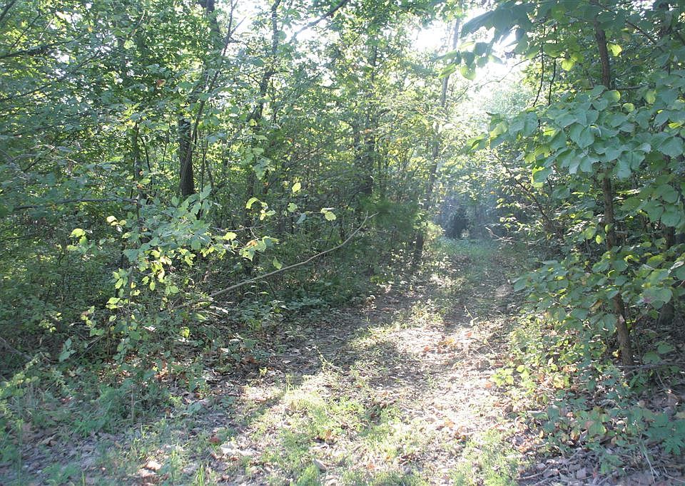 2nd image of 251 Honey Acres Ln