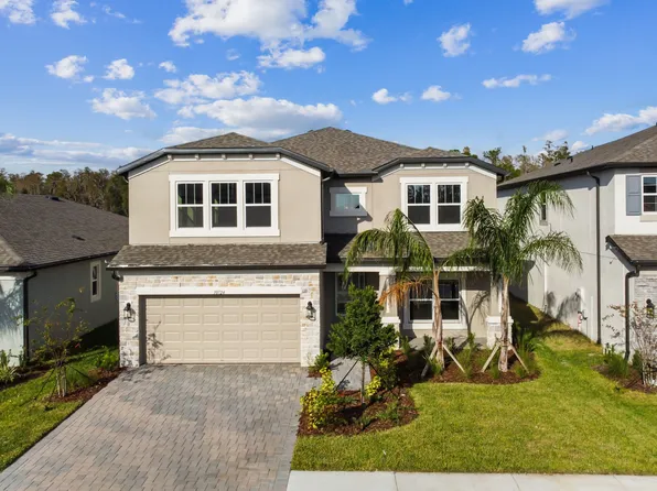 10724 New Morning Dr, Tampa, FL 33647