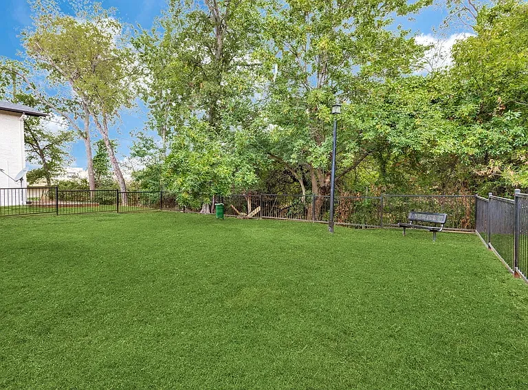 Tree Top Apartments — Photo 12