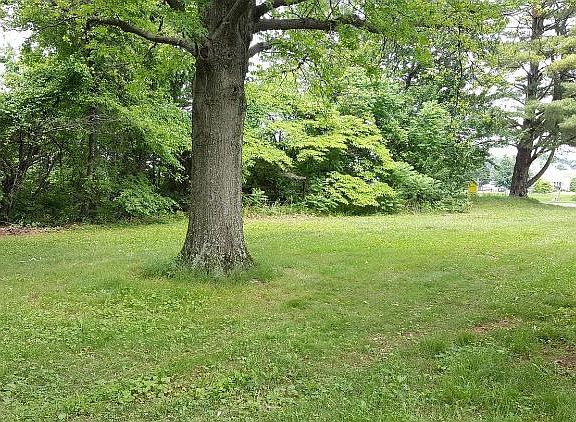 4th image of 40577 Browns Ln