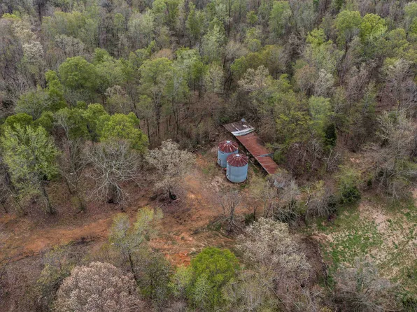 0 Cash School Rd, Enville, TN 38332