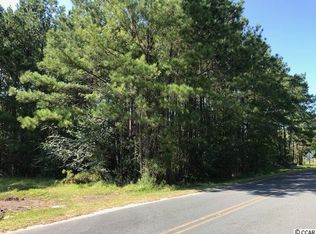 Tbd Bear Bluff Rd, Conway, SC 29526