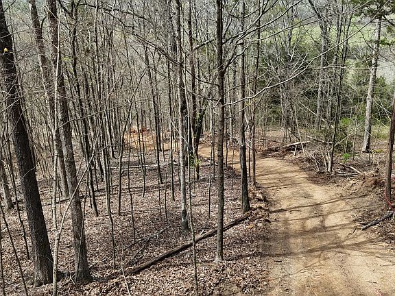 2nd image of 0 Geren Subdivision Ln