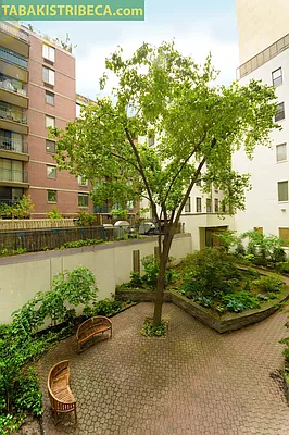 Rented by Tabak Real Estate | media 23