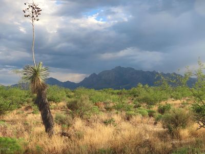 S B Lee Ln #0, San Simon, AZ, 85632
