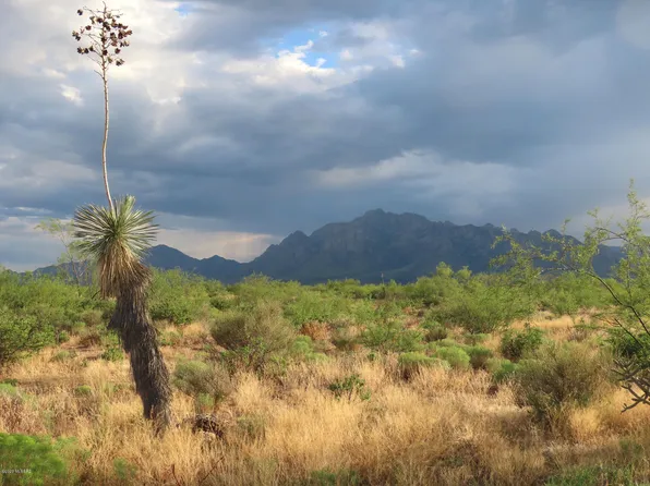 S B Lee Ln #0, San Simon, AZ 85632