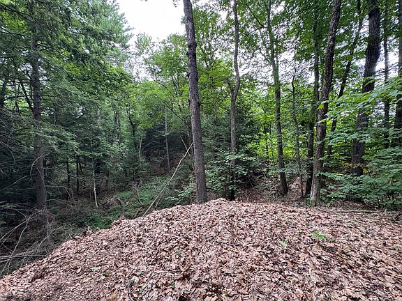 4th image of Lot # 18-1 Sanborn Street