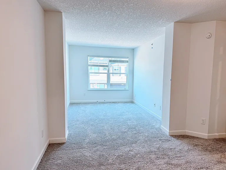 5209 Long Pointe Pass — Photo 13