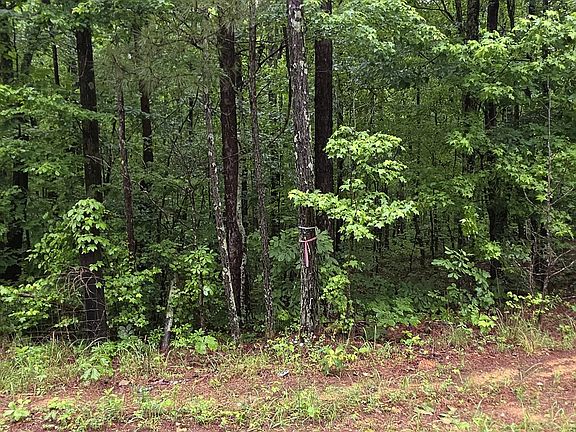 5th image of 0 Brewster Field Rd