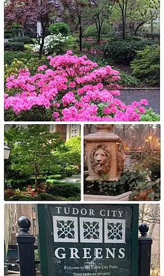 Rented by Bond New York | media 24