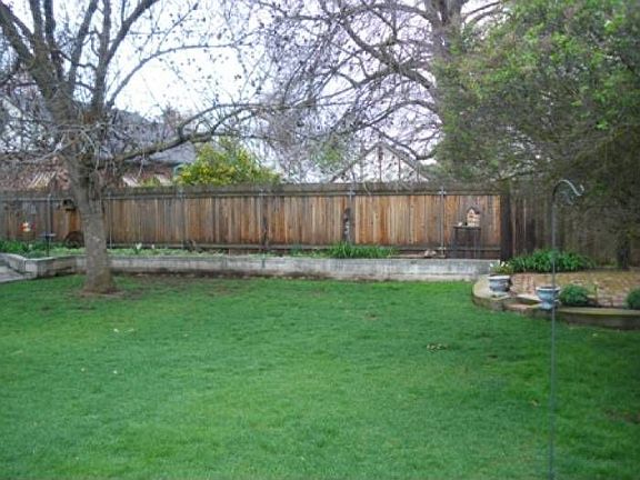 Large yard