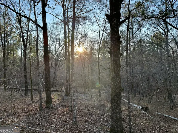 TRACT 1 Us Highway 80 W, Roberta, GA 31078