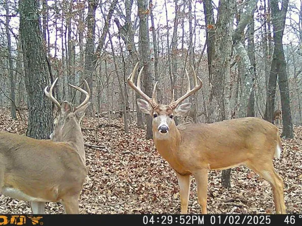 0 Bayberry Ln, Climax Springs, MO 65324