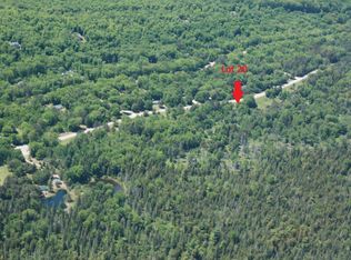 20 S Daisys Way, Kinross, MI 49752