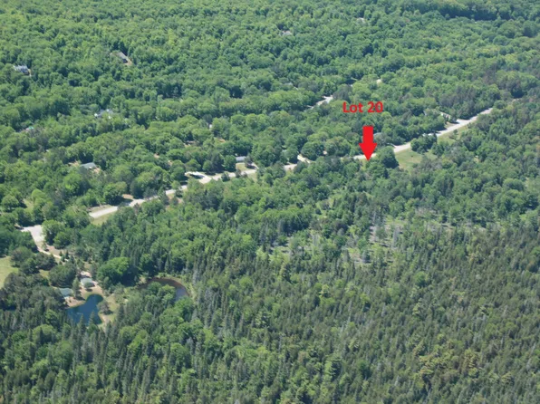 20 S Daisys Way, Kinross, MI 49752