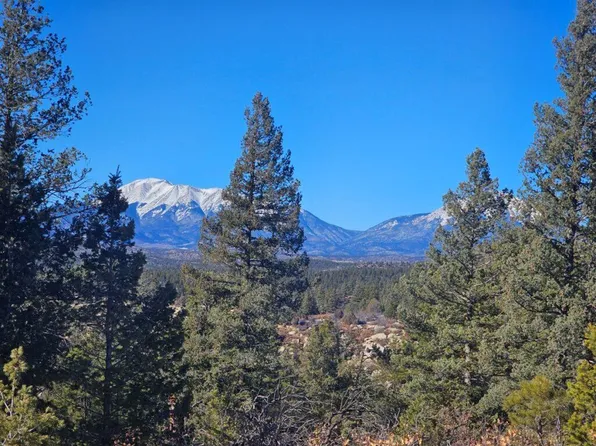 County Road 41.1, Boncarbo, CO 81024