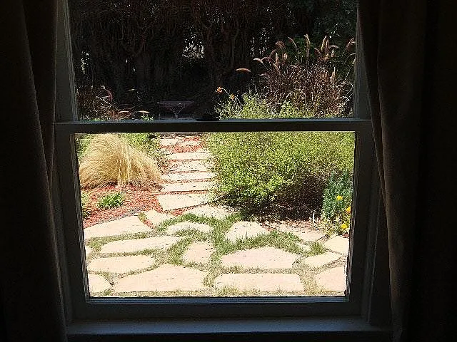 Kitchen View of backyard