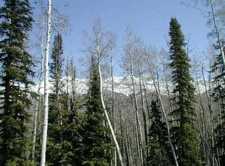 407 Larkspur Ln, Telluride, CO 81435