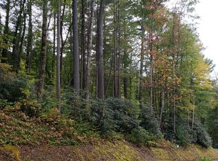 Woodlake Loop Rd, Elk park, NC 28622