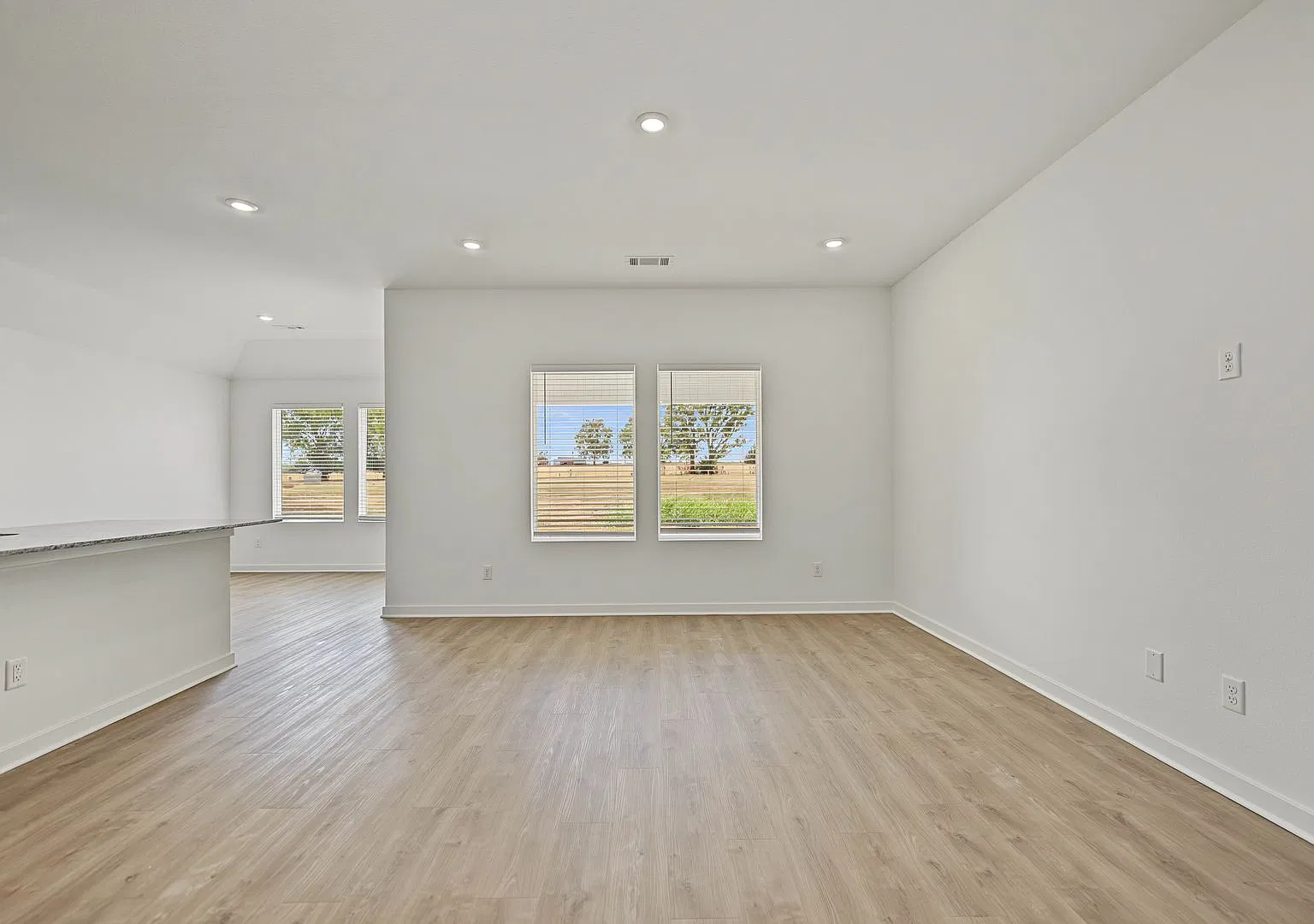 Beautiful 4-Bedroom Prairie Grove Home with Modern Finishes — Photo 4