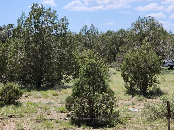 530 W Highland St, Williams, AZ 86046