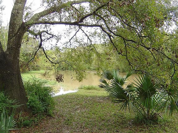 Clear Creek