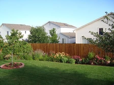 Back of house - Summer 2008