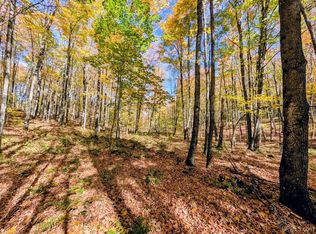 Dons Rd, Iron River, MI 49935
