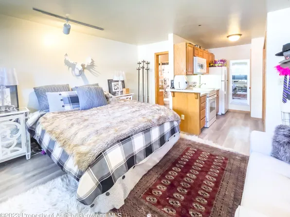 900 E Hopkins Ave APT 2, Aspen, CO 81611