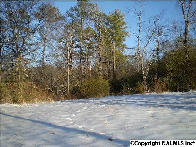 2nd image of 1615 Walden Dr