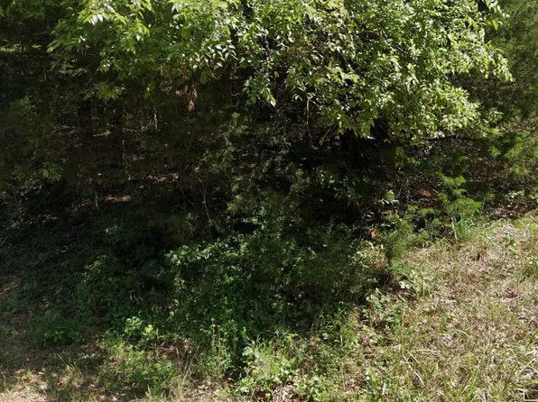 Lulu Cir, Cherokee Village, AR 72529