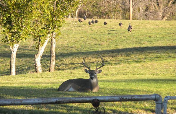 1st image of 11767 County Road 284