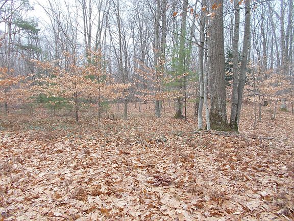 2nd image of 6085 W Red Pine Ct