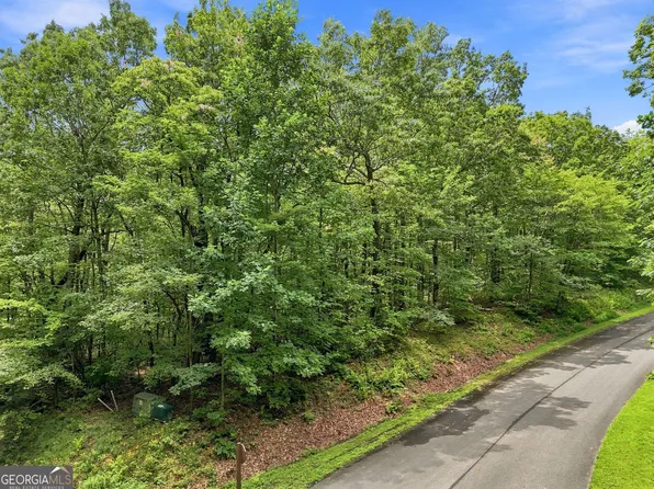 LOT 197 Saint Andrews Way, Ellijay, GA 30536