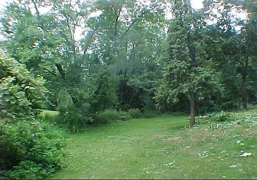 Serene setting