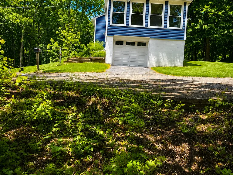 Shadowland Cove Rd — Photo 1