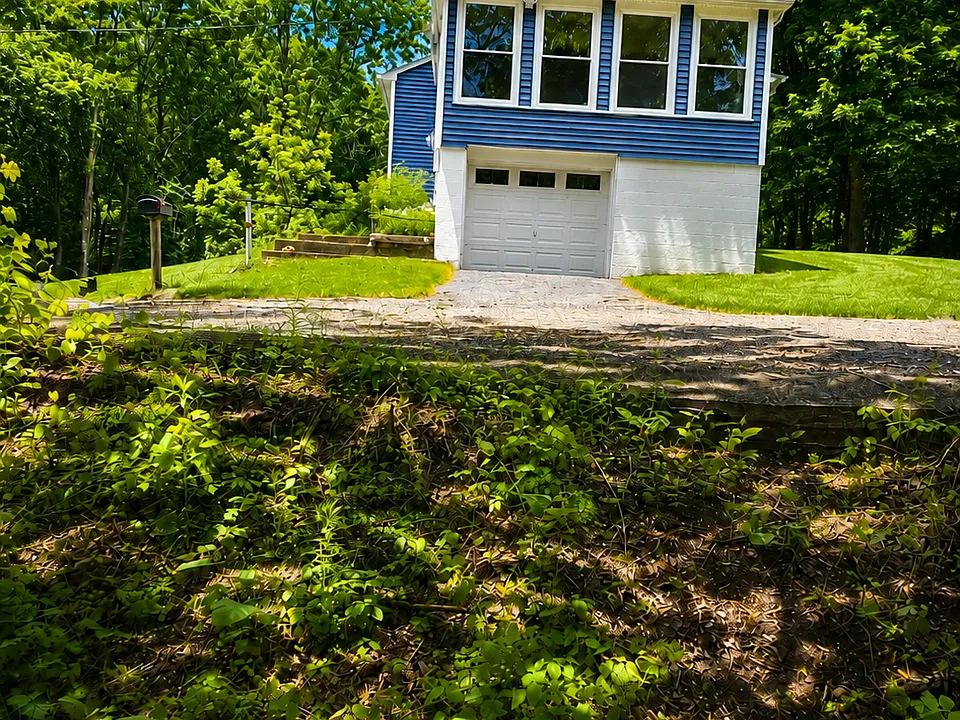 Shadowland Cove Rd