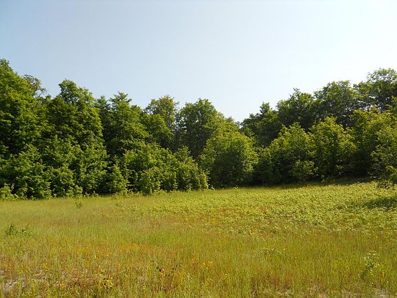 3rd image of Rusnell Road 63.052 Acres