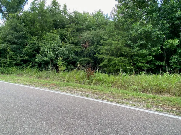 TRACT 3 Glendale Rd, Morris Chapel, TN 38361